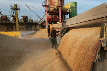 Рост экспортных цен на зерно в России замедлился – обзор
